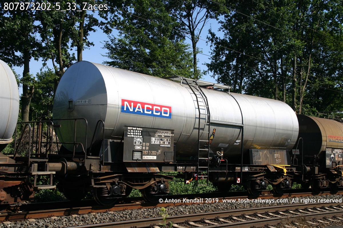 807873202-5_33_Zaces.jpg